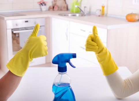 Local move in cleaning for a KT2 home before unpacking