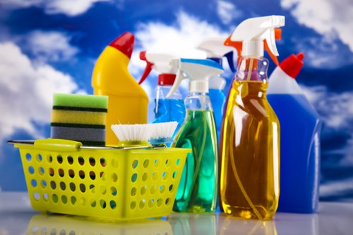 Professional carpet cleaning service for a KT2 home interior
