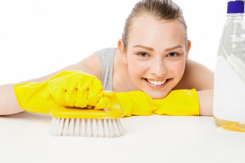Secure Carpet Cleaners KT2 payment page with SSL encryption and card options