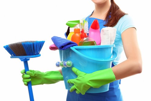 Freshening carpets and upholstery after pet accidents in KT2