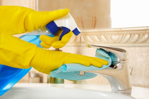 Professional oven cleaning service for KT2 homes
