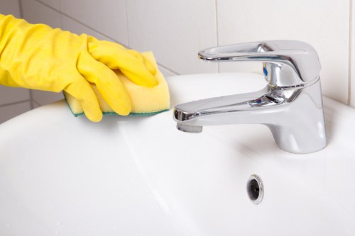 Steam carpet cleaning process for homes and businesses across KT2