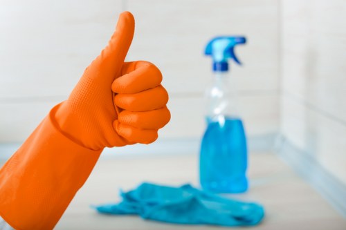 Professional domestic cleaning in a KT2 kitchen and bathroom