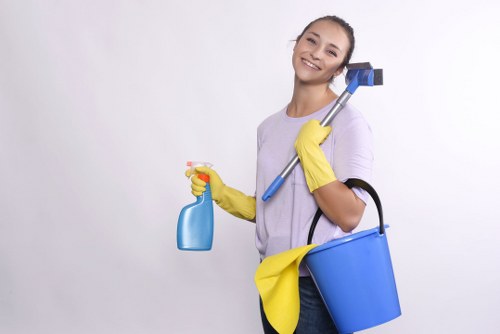 Deep oven cleaning for flats and family homes in KT2