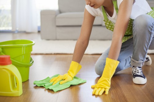 Local rug cleaning treatment for stains and odours in KT2